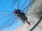 20140404_075951.jpg