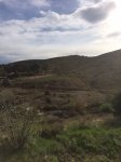 IMG-20140404-WA0006.jpg