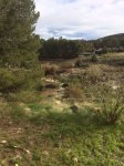 IMG-20140404-WA0007.jpg