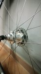 WP_20140404_004.jpg