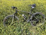 bici.jpg