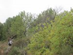 IMG_5074.JPG