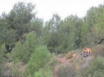 IMG_5076.JPG