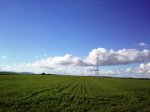DSC_2111.jpg