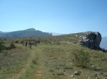 DSC06333.JPG