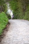 102505_PIC449606944.jpg