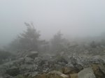 20140405_105723.jpg