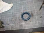 DSC04772.jpg