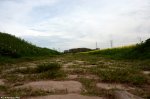 roubaix_cobbles.jpg