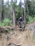 bici 015b.jpg