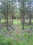 DSC00857.jpg