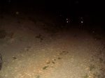 II Nocturna PeÃ±agolosa 013.jpg