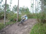 DH4.JPG