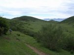 Resize of DSCN3187.JPG