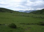 Resize of DSCN3189.JPG