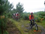 DSC01176 t.jpg