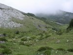Resize of DSCN3200.JPG