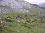 Resize of DSCN3202.JPG