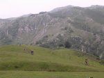 Resize of DSCN3204.JPG