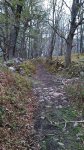 El Moral-Correpoco (14).jpg