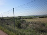 IMG_0750.JPG