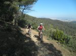 13-4-14  Serralada-Collserola (11).JPG