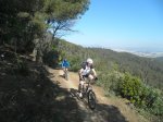 13-4-14  Serralada-Collserola (12).JPG