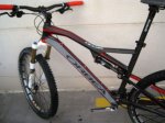 orbea1.jpg