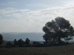 IMG_5154.JPG