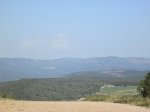 IMG_5157.JPG
