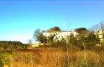 Imagen2858.jpg