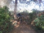 20140413_100603.jpg