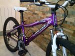 Coluer hotsell lucy 240