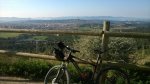 WP_20140310_001.jpg