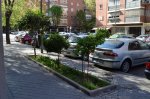 DSC_1652.JPG