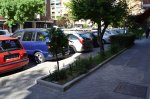 DSC_1653.JPG