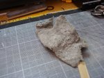 DSC04799.jpg