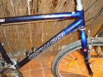 foromtb 002.JPG