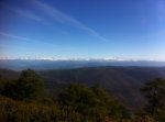 IMG_2344.JPG