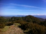 IMG_2345.JPG