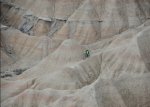 BTTBardenas16.jpg