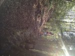 IMG_1638.JPG
