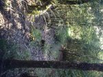 IMG_1640.JPG