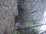 IMG_1645.JPG