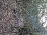 IMG_1649.JPG