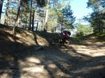P1010773.jpg