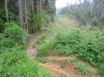 P1020300.JPG