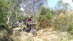 DSC_8110.jpg