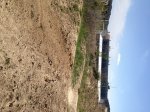 circuito 4X6.JPG