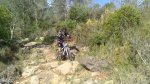 DSC_8113.jpg